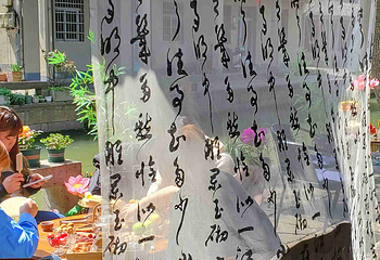 安昌古镇第 80 张图片