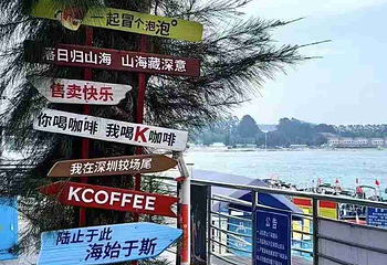 较场尾第 26 张图片