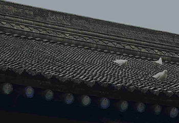 大兴善寺第 71 张图片
