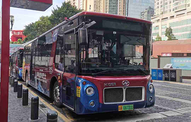 重庆都市观光巴士第 30 张图片