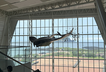 济州岛Aqua Planet水族馆第 63 张图片