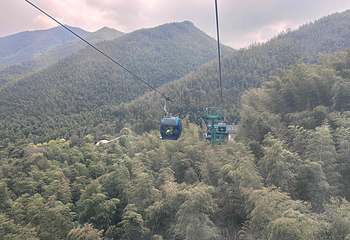 天目湖南山竹海第 150 张图片