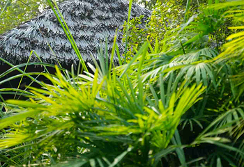 蜀乐池天然温泉第 37 张图片