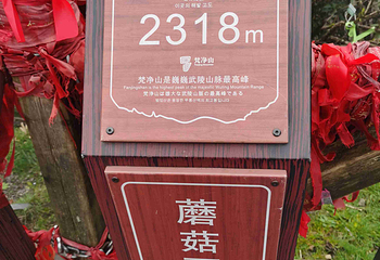 梵净山第 315 张图片