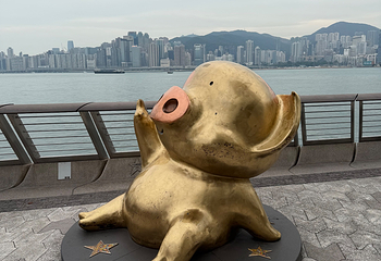 星光大道第 95 张图片