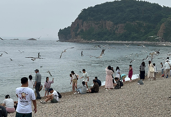 大连金石滩国家旅游度假区第 26 张图片