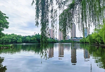 浙江大学(紫金港校区)第 76 张图片