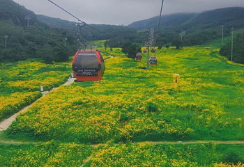 中旅松花湖度假区第 196 张图片
