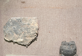 南越王博物院(王宫展区)第 100 张图片