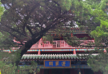 蓬莱阁第 141 张图片