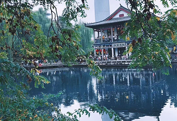 趵突泉景区第 172 张图片