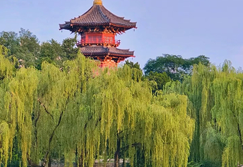 兴庆宫公园第 88 张图片