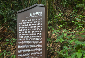 蜀南竹海第 57 张图片