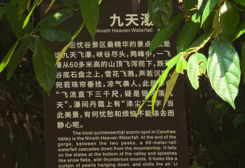 蜀南竹海第 63 张图片
