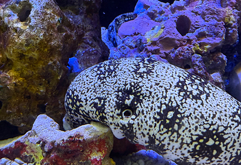 上海海洋水族馆第 179 张图片