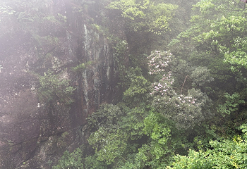 三清山风景区第 312 张图片
