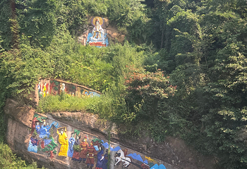青城山第 430 张图片