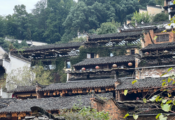 婺源篁岭景区第 237 张图片