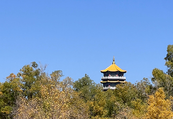 金塔胡杨林第 72 张图片