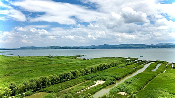 威宁草海观鸟台