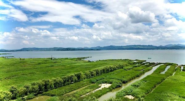 威宁草海观鸟台