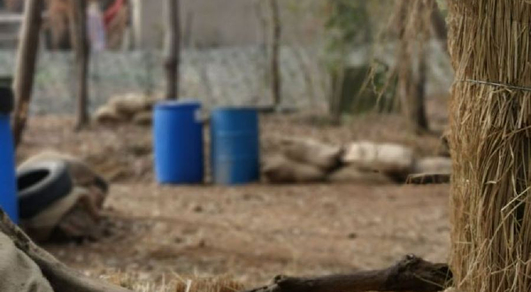 大花山丛林越野俱乐部