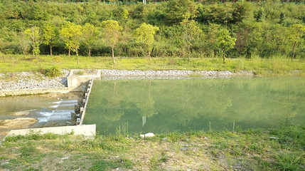 龙里莲花湿地公园第 1 张图片