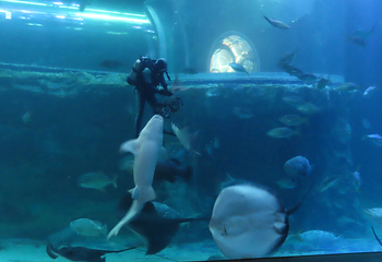 丽水Aqua Planet水族馆第 12 张图片