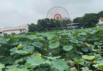 河内西湖第 21 张图片