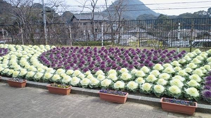 九十九岛动植物园第 15 张图片