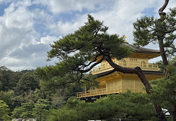金阁寺第 22 张图片