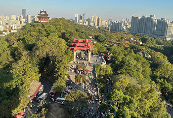 黄鹤楼第 268 张图片