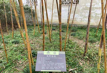 沧浪亭第 51 张图片
