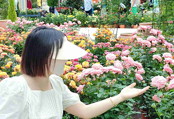新加坡滨海湾花园第 406 张图片