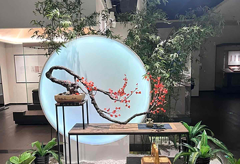 六朝博物馆第 76 张图片