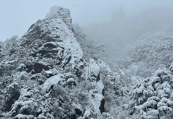 黄山风景区第 310 张图片