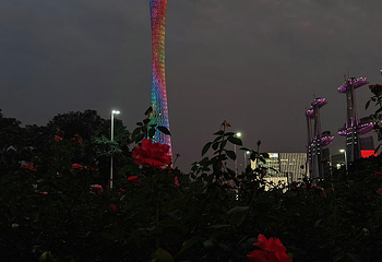 花城广场第 118 张图片