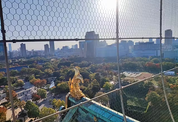 大阪城公园第 249 张图片