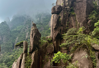 三清山风景区第 195 张图片