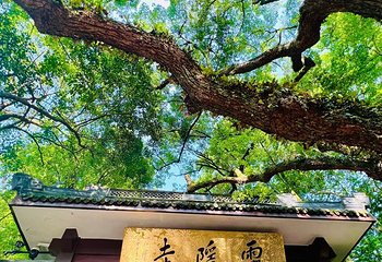 灵隐飞来峰景区第 68 张图片