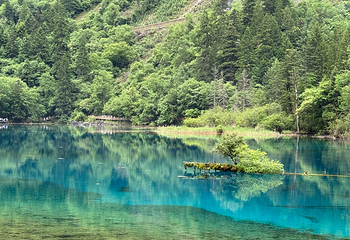 九寨沟风景区第 433 张图片