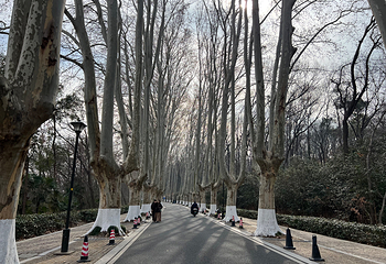 钟山风景名胜区第 139 张图片