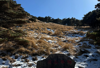 黄山风景区第 321 张图片