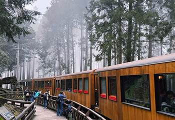 阿里山国家风景区第 52 张图片