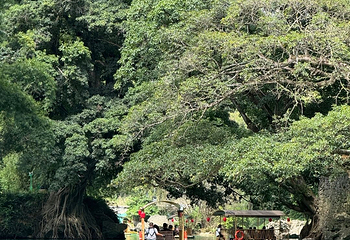 大小井风景名胜区第 15 张图片
