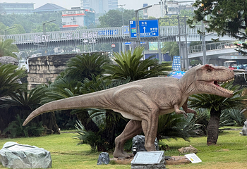 自贡恐龙博物馆第 50 张图片