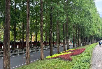 青城山第 434 张图片