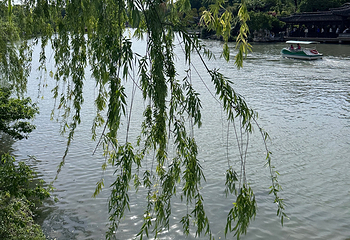 瘦西湖第 409 张图片