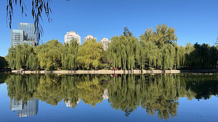 团结湖公园第 45 张图片