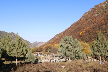 祁连山冰沟河景区第 117 张图片